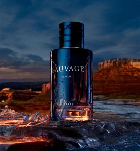 what scent is dior sauvage|how expensive is dior sauvage.